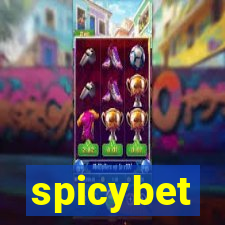 spicybet-3.com