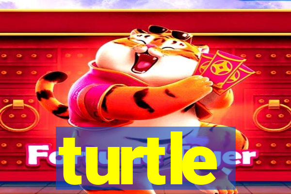 turtle-ty.com