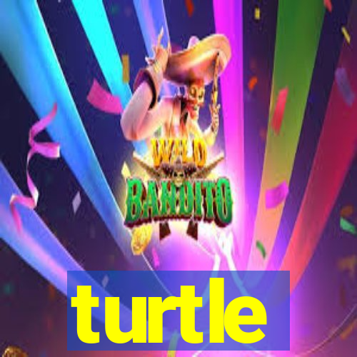 turtle-ty.com